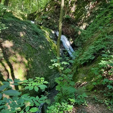 Zur Alten Tischlerei * Herzberg am Harz