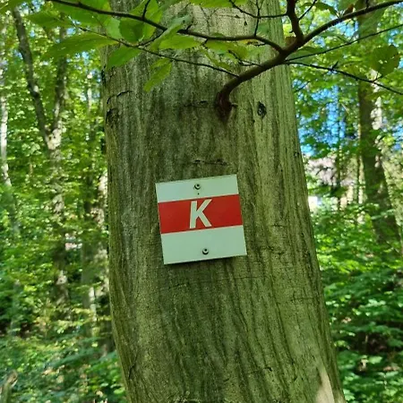 Zur Alten Tischlerei *