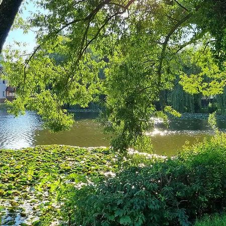 Zur Alten Tischlerei Kwatera prywatna *