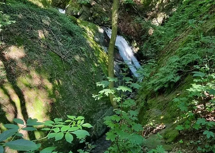 Zur Alten Tischlerei * Herzberg am Harz