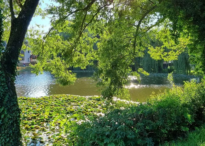 Zur Alten Tischlerei Homestay szállás *
